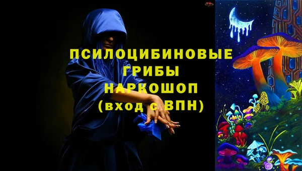 мдпв Армянск