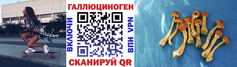 цены наркотик  блэк спрут рабочий сайт  Псилоцибиновые грибы Magic Shrooms  Артёмовск 
